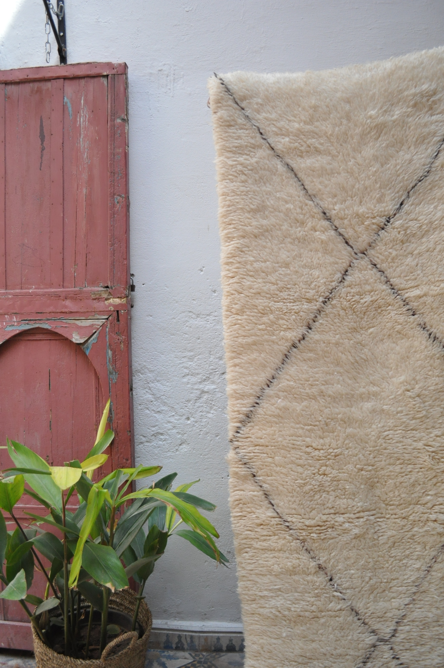DRISS Moroccan Runner