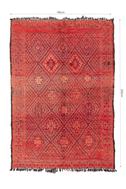 SCCM moroccan rug