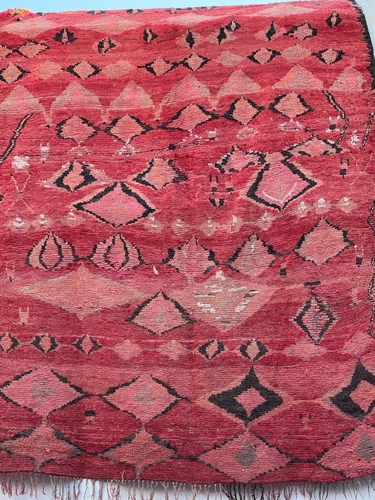 kamilal boujaad rug