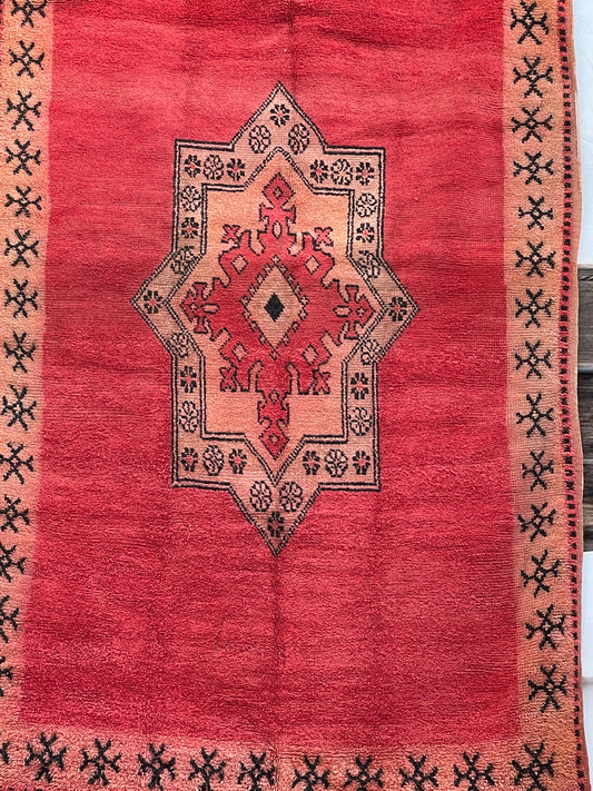 Geta boujaad