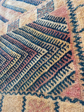 Load image into Gallery viewer, MEHRI rare Taznakht rug