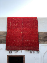 Load image into Gallery viewer, HIKAYA BENI MUGILD RUG