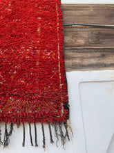 Load image into Gallery viewer, HIKAYA BENI MUGILD RUG